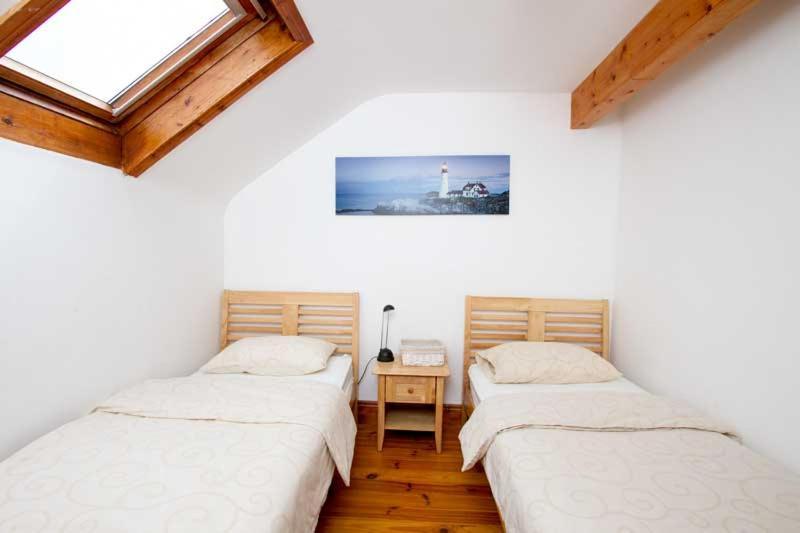 Rainbow Hostel Дингл Экстерьер фото
